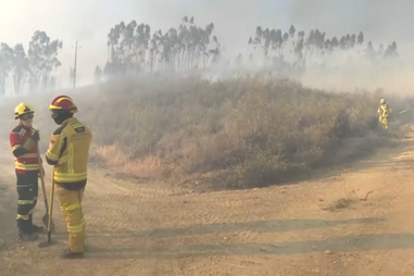 Incêndio em Proença-a-Nova combatido por mais de 300 bombeiros e 11 meios aéreos