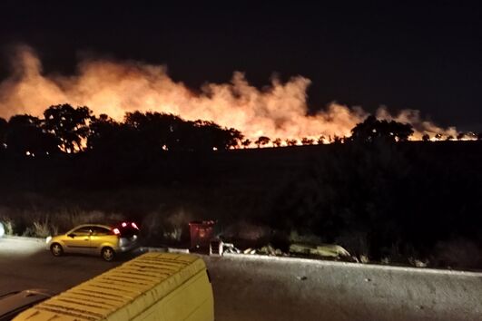 Incêndio que deflagrou em zona de pasto no Montijo consumiu quatro hectares