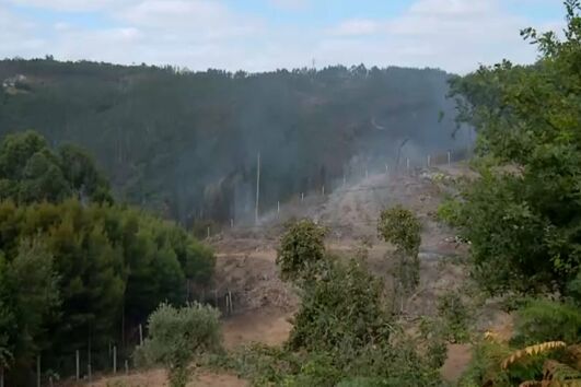 Dominado fogo em Gondomar que mobilizou mais de 100 operacionais