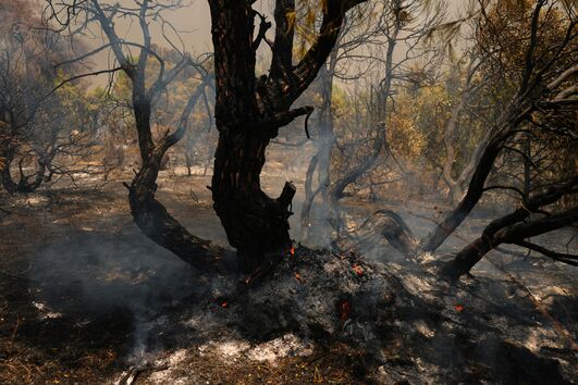 Incêndios em Espanha