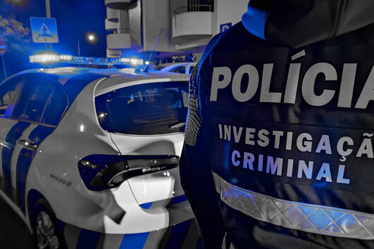 Investigação Criminal da PSP deteve os agressores