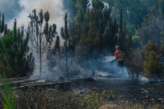 Incêndio nas Caldas da Rainha entrou esta terça-feira em resolução após mobilizar forte dispositivo de combate 
