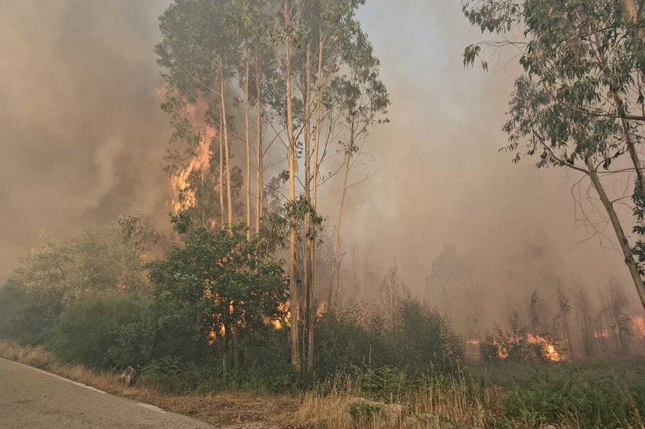 Incêndio em Vouzela 