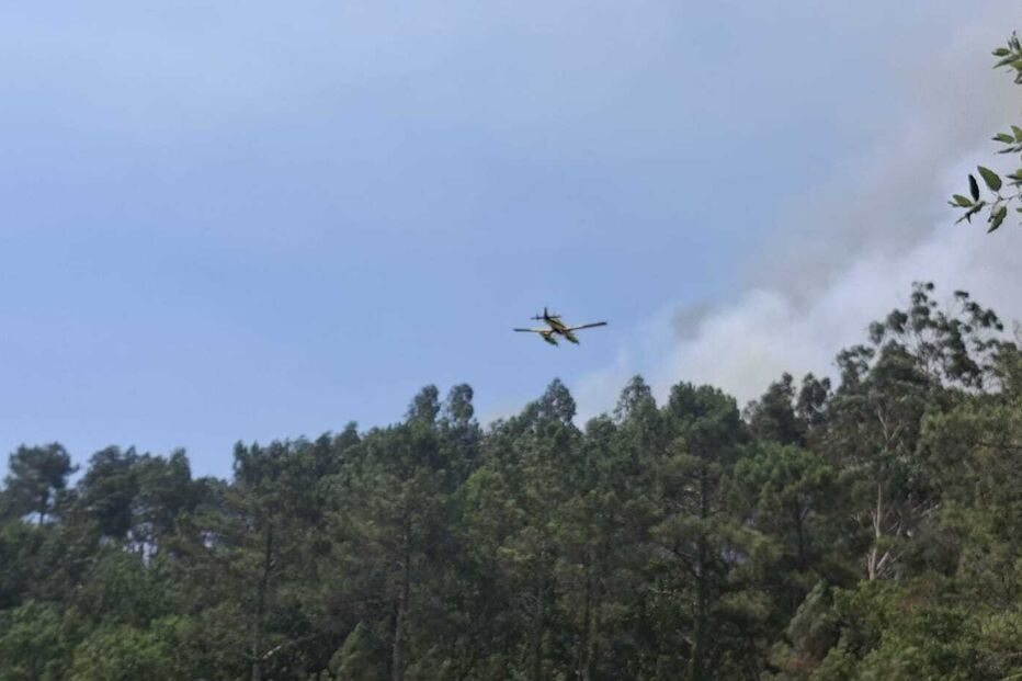 Imagens mostram nuvem de fumo provocada pelo incêndio em Tondela