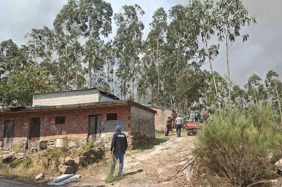 Imagens mostram nuvem de fumo provocada pelo incêndio em Tondela