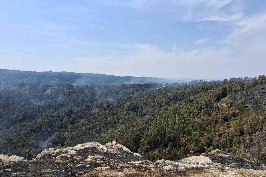 Imagens mostram impacto do incêndio na Serra do Caramulo