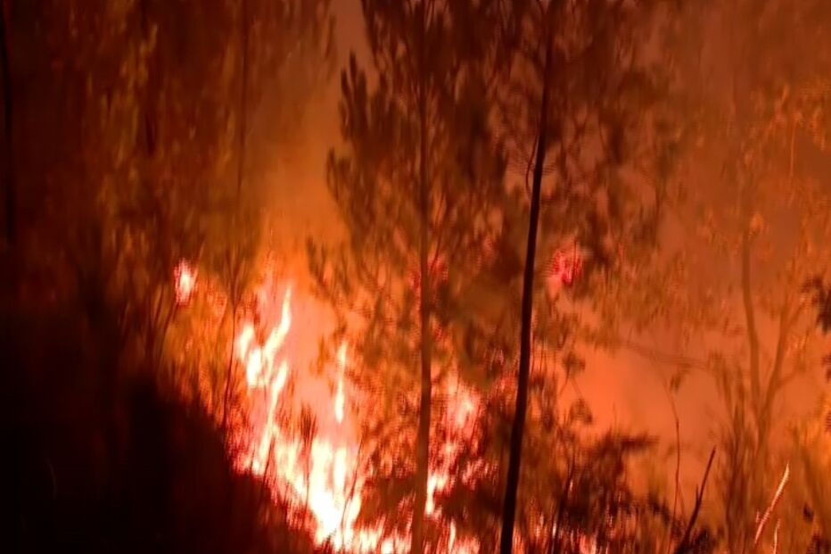 Nove meios aéreos e cerca de 360 operacionais combatem chamas no Sabugal. Fogo próximo de habitações