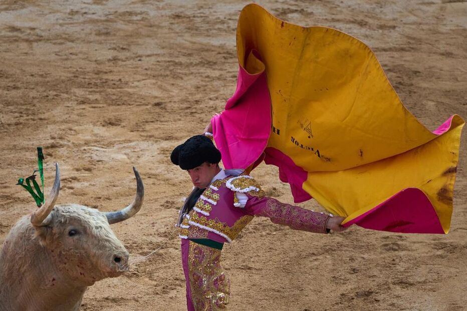 Luta de touros nas festas de San Fermín, Espanha