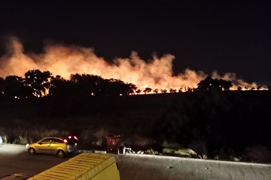 Incêndio deflagra em zona de mato no Montijo
