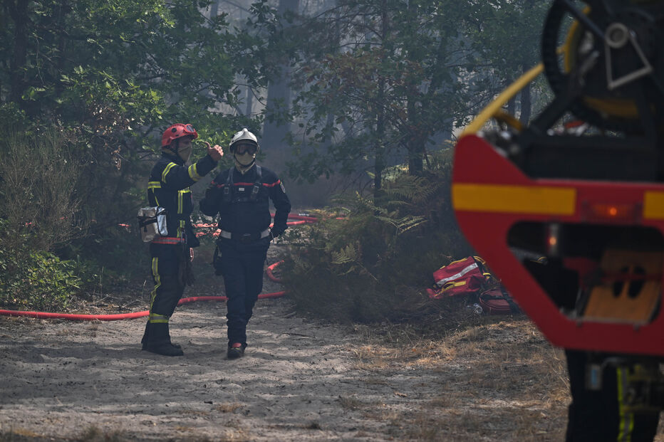 Chamas continuam a lavrar na floresta de Fontainebleau nos arredores de Paris