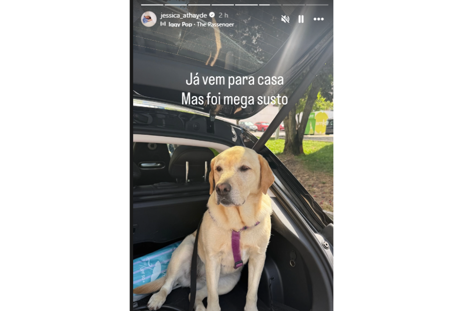 Jessica Athayde apanha grande susto com a cadela