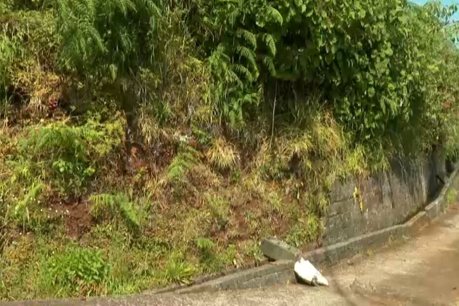 Mulher encontrada morta após discussão na Madeira