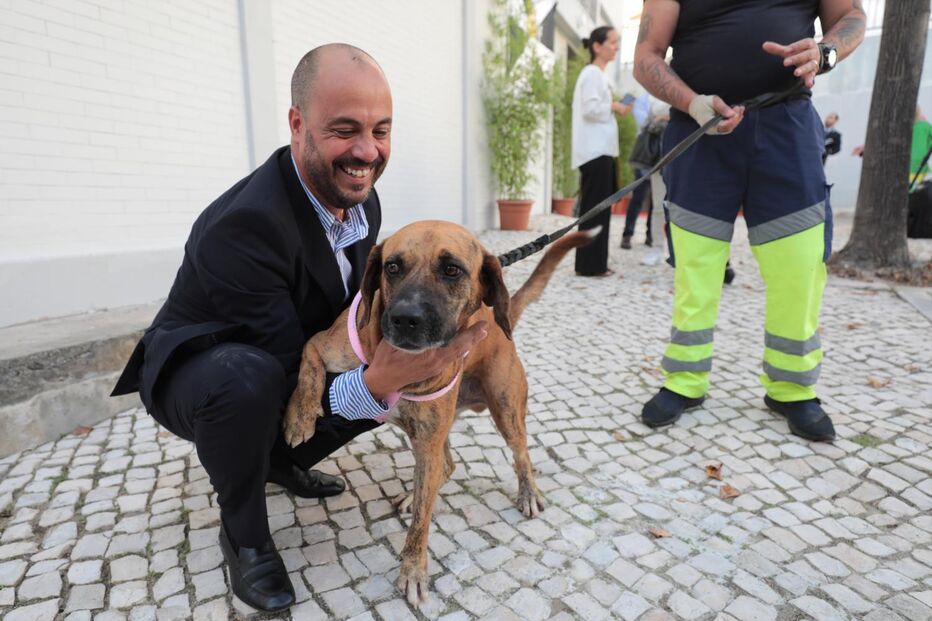 Provedor dos Animais de Lisboa, Pedro Paiva, apresenta livro sobre a resiliência animal