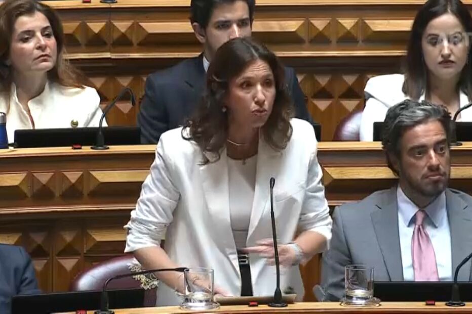 Mariana Leitão diz que a 