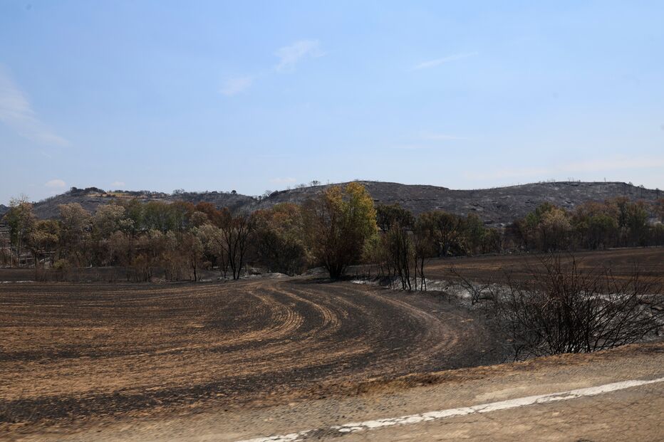 Incêndio a norte de Madrid destrói mais de 12 mil hectares de floresta