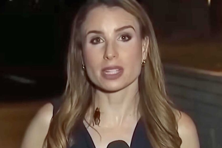 Rachel Menitoff 