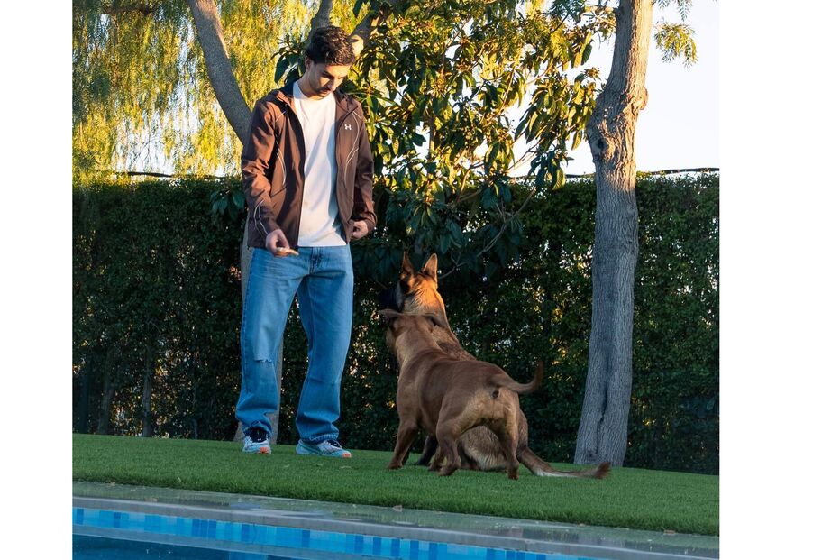 Ferran Torres treina cães junto a uma piscina