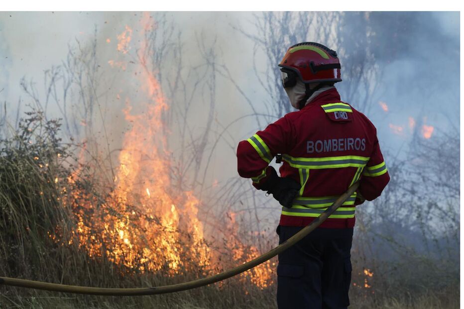 Bombeiros utilizam substância retardante no combate a incêndio, proibida desde 1998