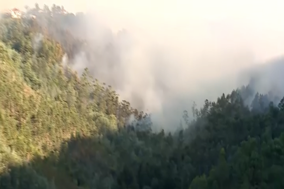 Dois meios aéreos combatem as chamas numa zona de mato em Gondomar