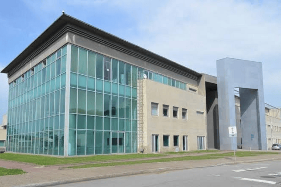 Professores do Instituto Politécnico do Porto acusaram Governo e a tutela, esta sexta-feira, de 