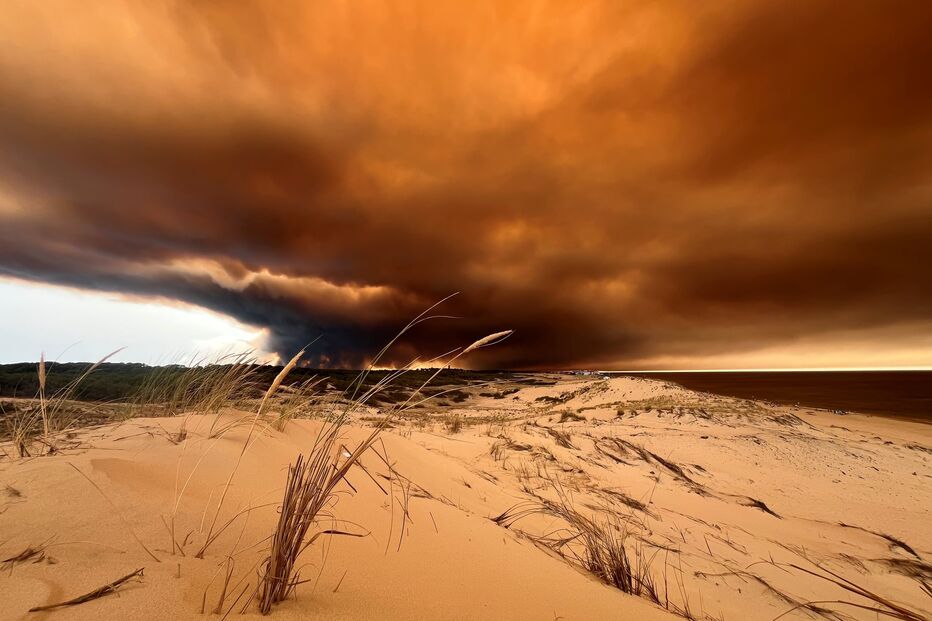 Nuvens de fumo sobre dunas em França com área ardida de 50 mil hectares