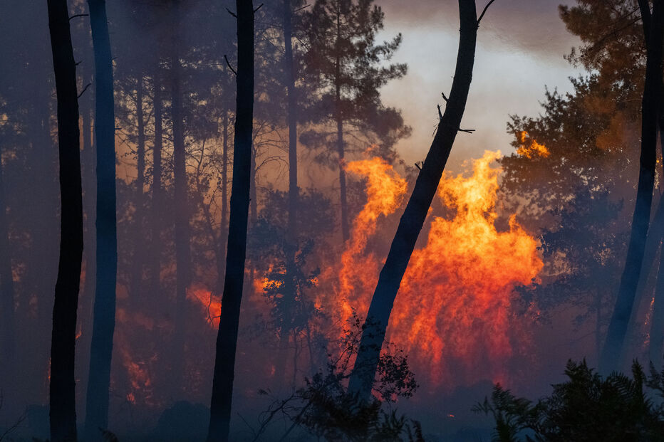 Incêndios em França
