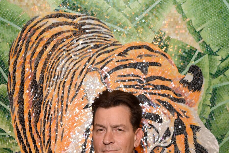 Charlie Sheen posa com um mosaico de tigre