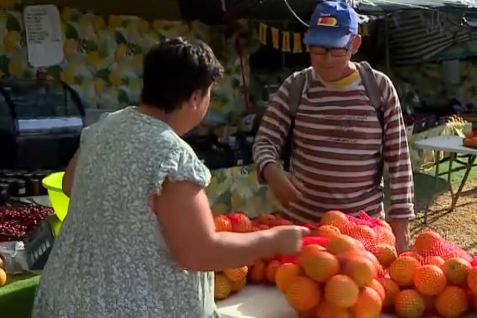 Aumento de vendedores ilegais compromete as vendas dos comerciantes da Estrada Nacional 125 no Algarve 