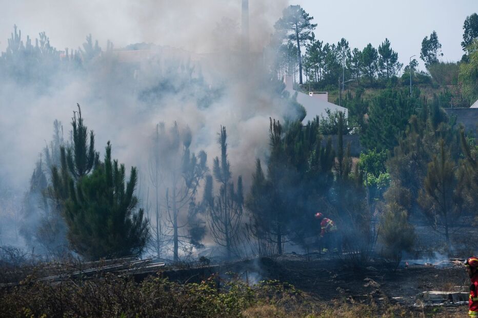 Incêndio nas Caldas da Rainha entrou esta terça-feira em resolução após mobilizar forte dispositivo de combate 
