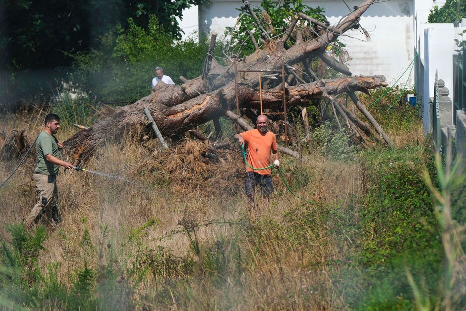 Incêndio nas Caldas da Rainha entrou esta terça-feira em resolução após mobilizar forte dispositivo de combate 