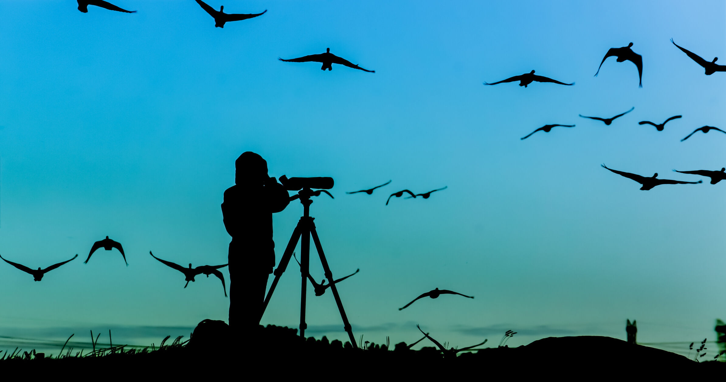 Bragança Researchers to Study Eclipse's Effect on Animals