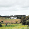 <![CDATA[ Herdade do Cebolal: projeto familiar, mas pouco convencional ]]>