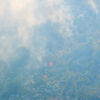 <![CDATA[ Incêndios florestais ameaçam habitações no sul da Bósnia ]]>