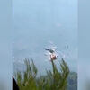 <![CDATA[ O momento em que dois helicópteros colidem durante combate aos incêndios na Grécia ]]>