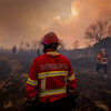 <![CDATA[ Chamas consumiram 23 mil hectares em 15 dias ]]>