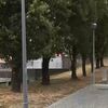 <![CDATA[ Infestação de baratas em Águas Santas gera queixas de moradores ]]>