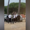 <![CDATA[ Imagens mostram confrontos junto a discoteca em Esposende ]]>