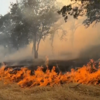 <![CDATA[ Incêndio florestal na Califórnia alastra para mais de dois mil hectares e destrói vários edifícios ]]>