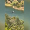 <![CDATA[ Homem morre junto à Barragem de Castelo de Bode. Autoridades investigam ]]>