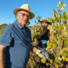 Il Presidente della Repubblica approfitta dell'ultimo fine settimana di agosto per la vendemmia a Penamacor