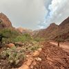 Pelo menos um morto em enxurrada no Grand Canyon nos EUA