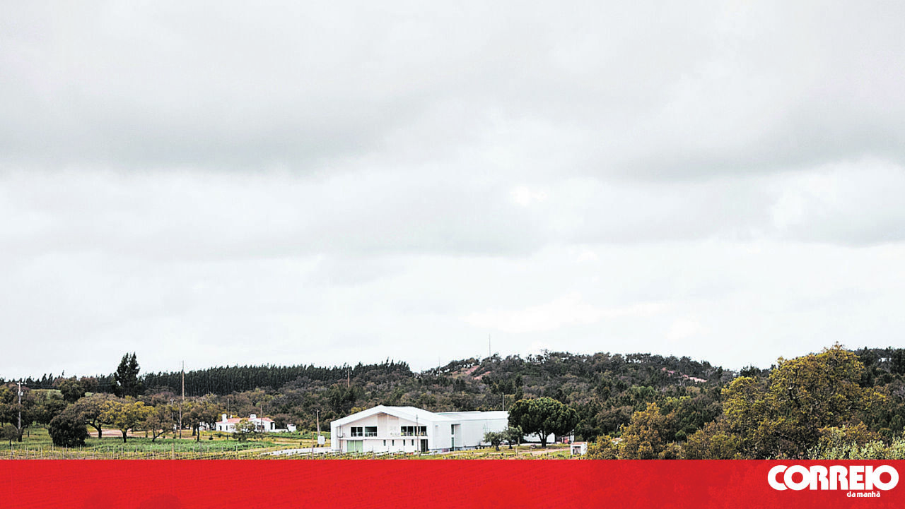 <![CDATA[ Herdade do Cebolal: projeto familiar, mas pouco convencional ]]>
