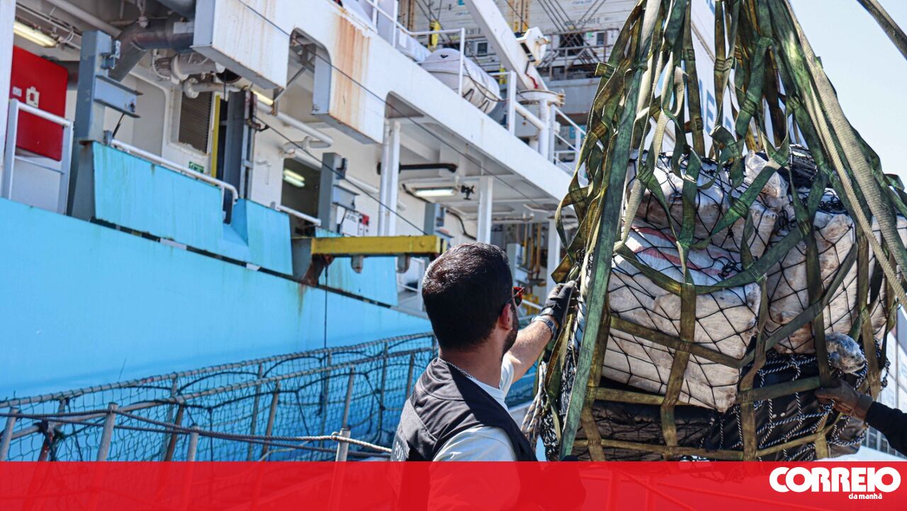 <![CDATA[ PJ apanha cinco toneladas de cocaína e detém três homens em navio  ]]>