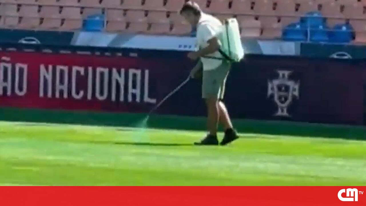 <![CDATA[ Relvado do Estádio Cidade de Coimbra foi 'pintado' de verde na manhã da Supertaça ]]>