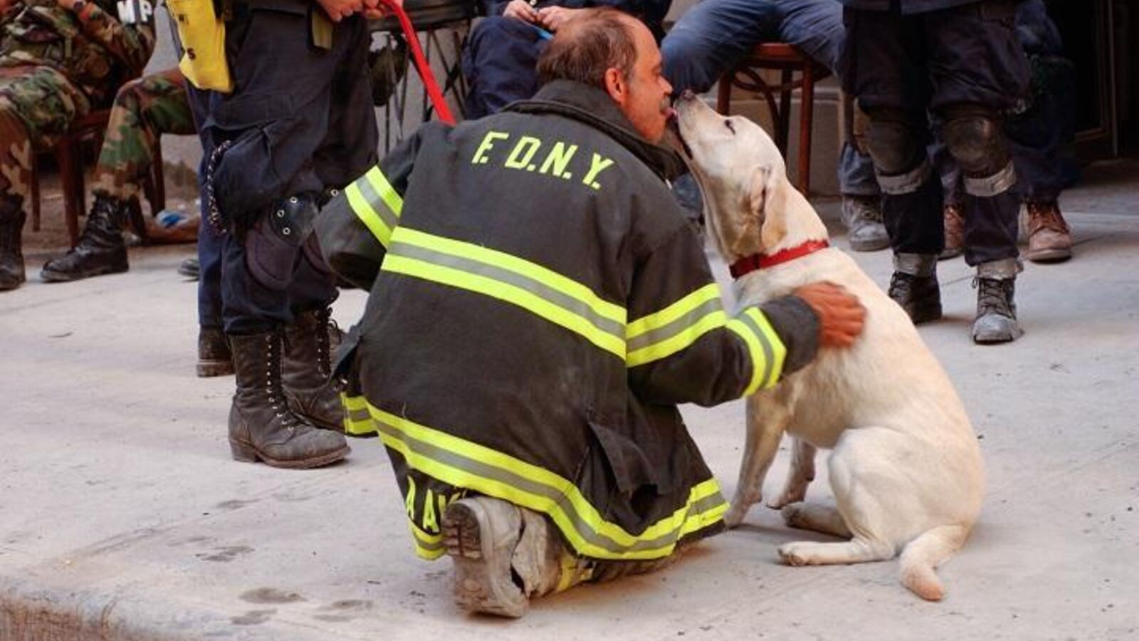 Cão de busca da Task-Force 1, Scout, com um bombeiro em Ground Zero