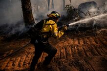 Bombeiro combate incêndio florestal