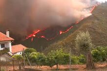 Fogo em Arouca mobiliza mais de 350 operacionais e três meios aéreos 