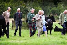 Carlos III e Camilla passam a temporada em Balmoral com vacas