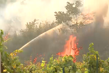 Moradores ajudam a combater incêndio em Celorico de Basto