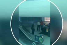 Tecto desaba dentro de loja em centro comercial nas Caldas da Rainha